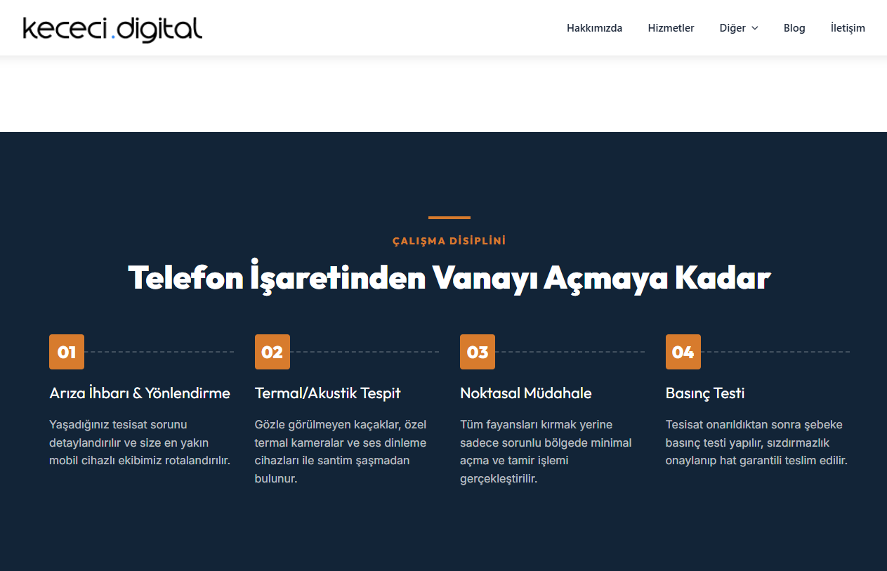 Tesisatçı & Su Kaçağı Tespiti WordPress Teması | Tek Tık Kurulum - Görsel 3